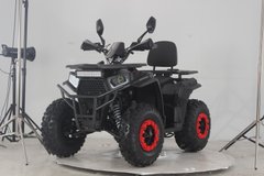 Квадроцикл Forte ATV 200G