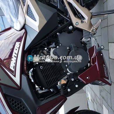 Мотоцикл Geon Pantera 250