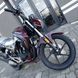 Мотоцикл Geon Pantera 250 - 11