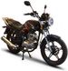 Мотоцикл Skybike Burn II 200 - 2