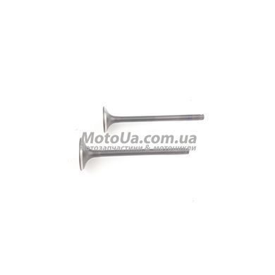 Клапаны ГРМ на мотоцикл Geon X-Line 250cc / Tekken 171FMM (d=25mm, l=83 / d=21,5mm, l=83mm)