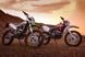 Мотоцикл Skybike CRX 250 (21/18) - 3