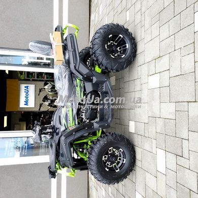 Квадроцикл Forte AFC 250 L PRO