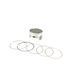 Поршень 4T 174FMN 300 Exdrive Profactory 300 (&Oslash;74 р-16) STD (в сборе) - 1