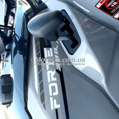 Квадроцикл Forte ATV 300BS
